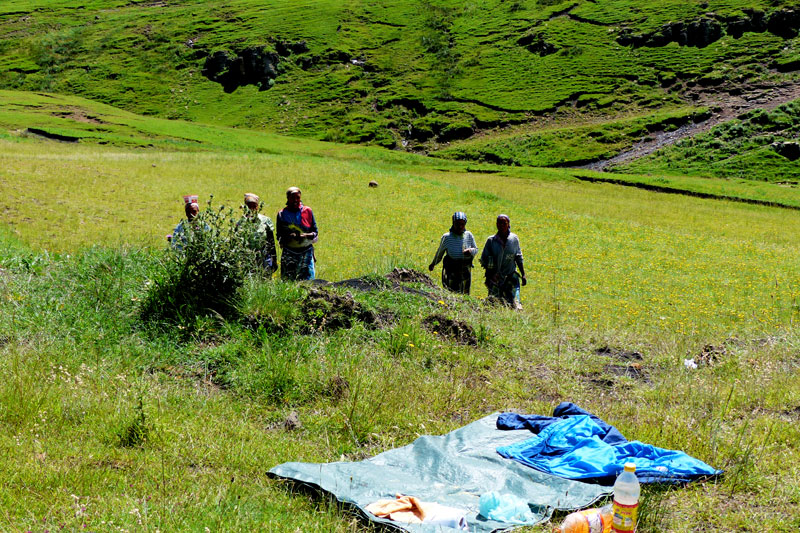Lesotho